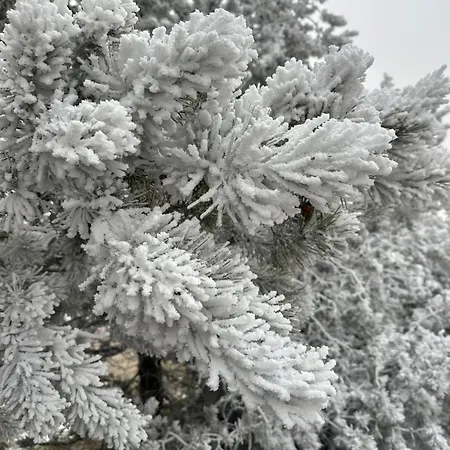 Le 36 6 Pers Le Sauna Hiking *