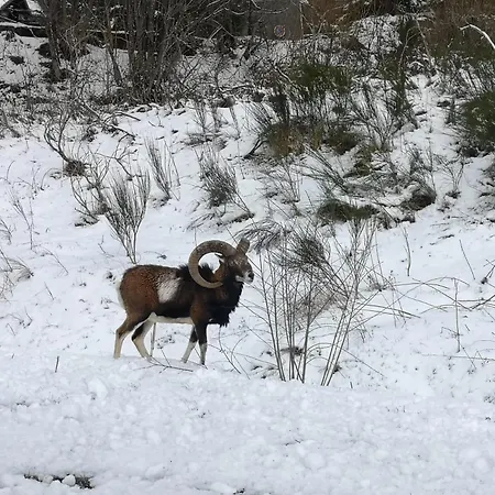 Le 36 6 Pers Le Sauna Hiking *